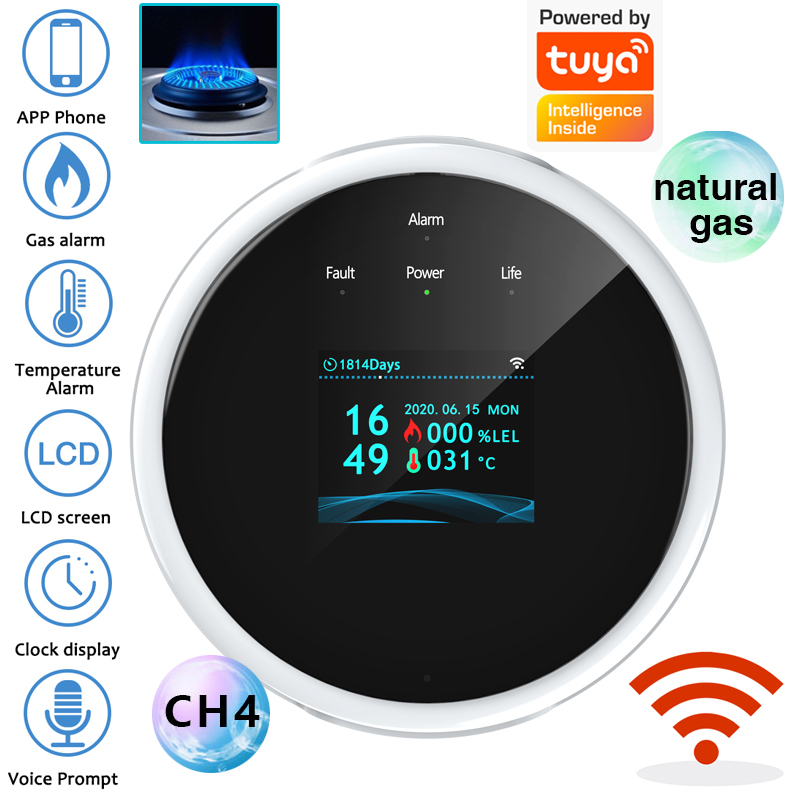 Home Security With Monitoring - 2.4G WiFi Gasalarmsensor Brandbaar gasdetector Werkt