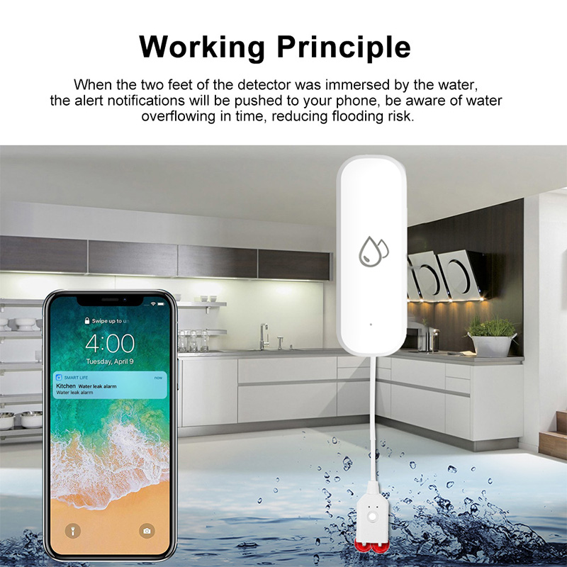 Tuya WiFi Waterlekkage Alarmse - Home Security With Monitoring recensie en prijs