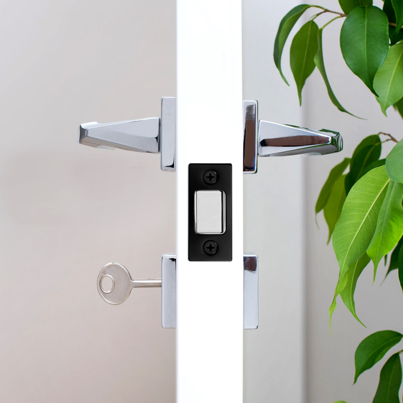 1 Set RVS Beveiligingsplaat De - Door Reinforcer Kit recensie en prijs